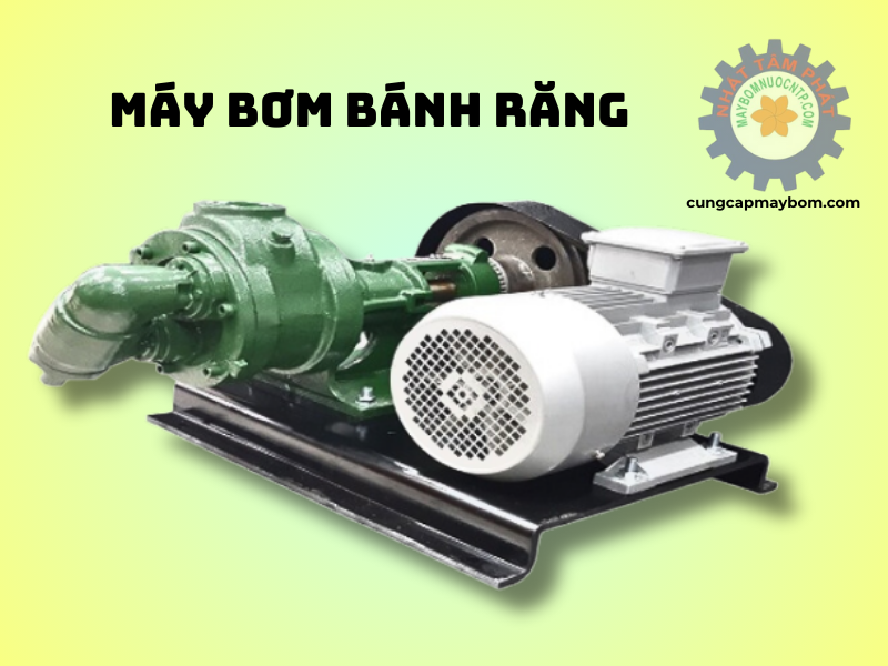 Hướng dòng chảy của bơm bánh răng